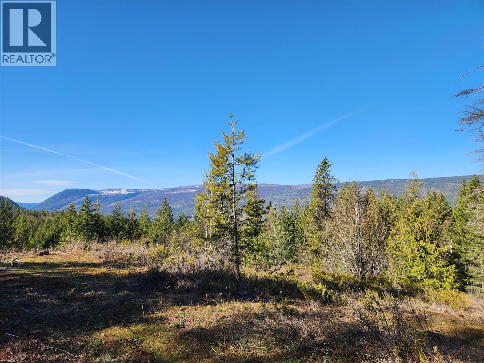 712 Grange Road, Enderby, British Columbia  V0E 1V3 - Photo 16 - 10388570