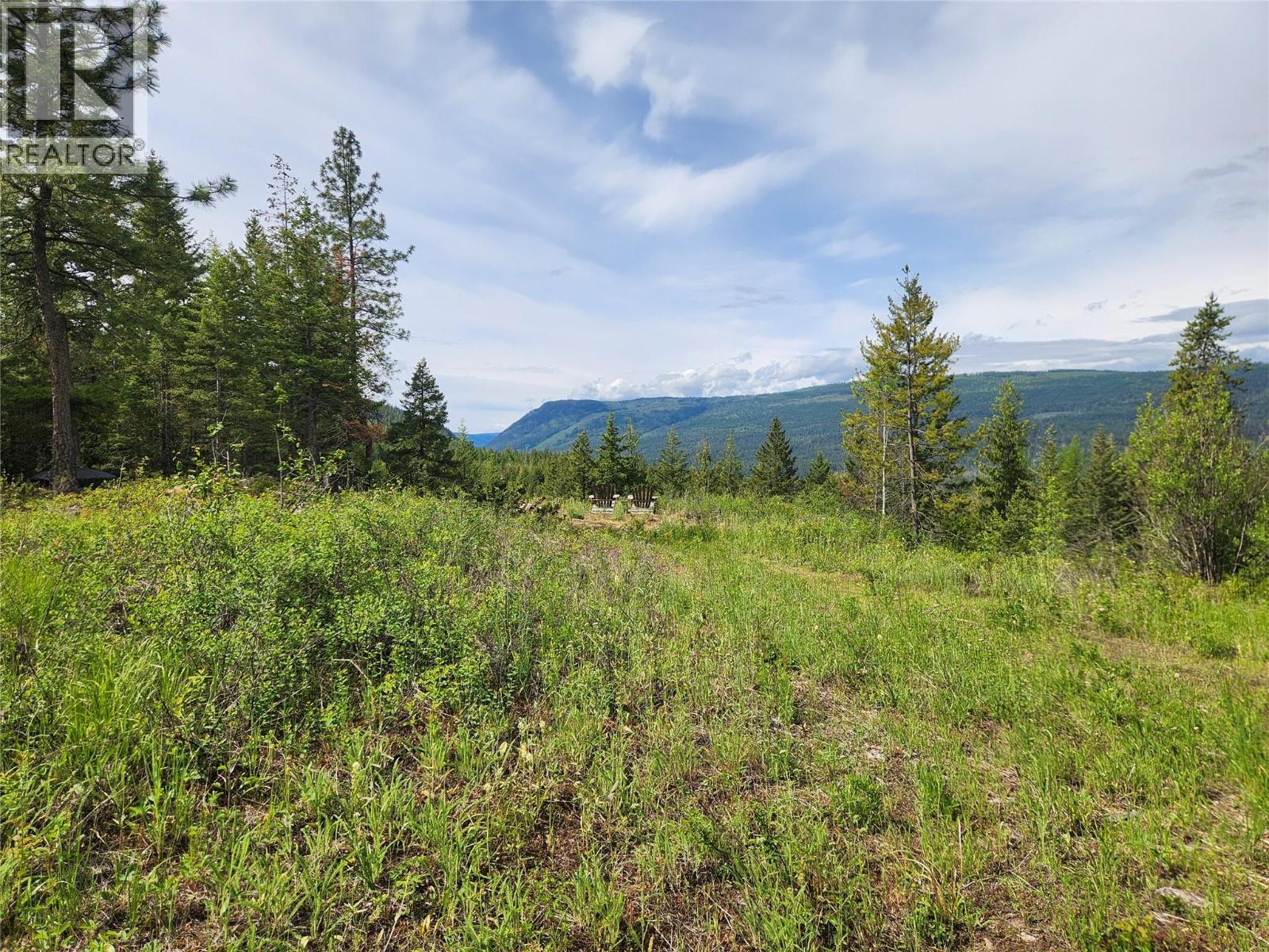 712 Grange Road, Enderby, British Columbia  V0E 1V3 - Photo 3 - 10388570