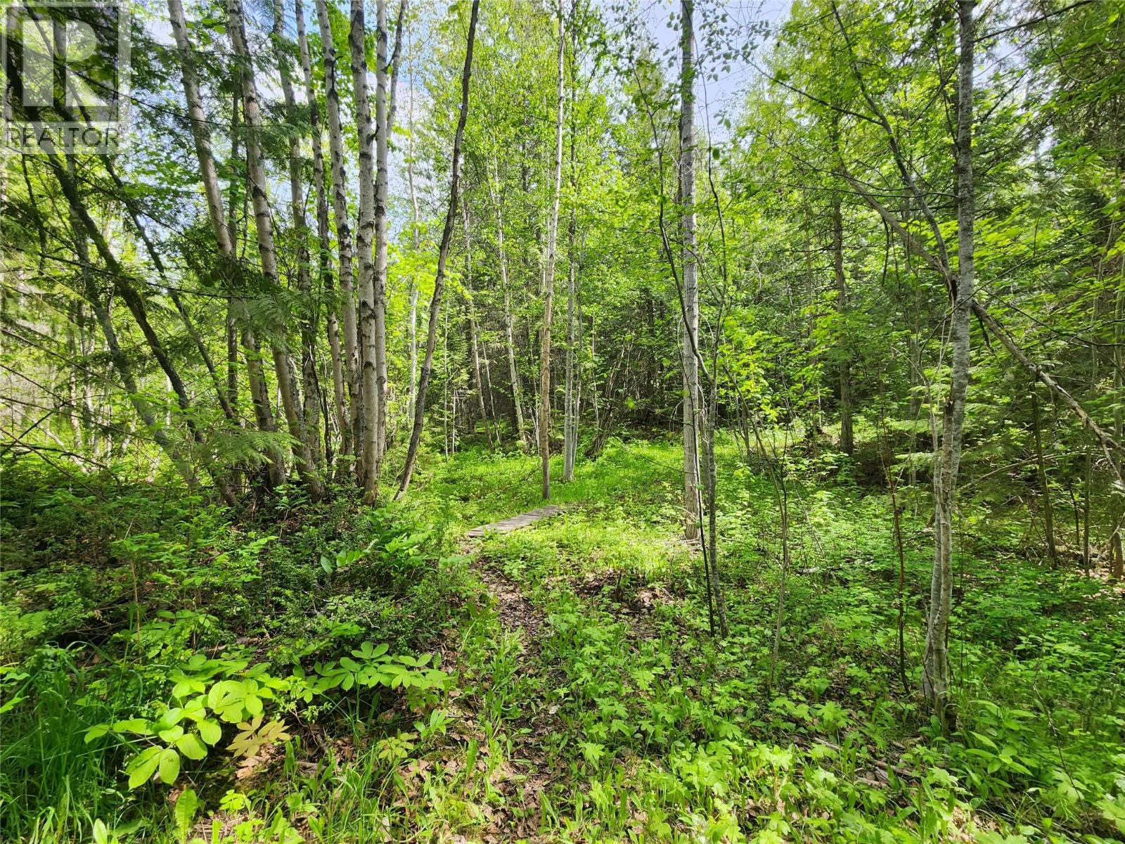 712 Grange Road, Enderby, British Columbia  V0E 1V3 - Photo 7 - 10388570