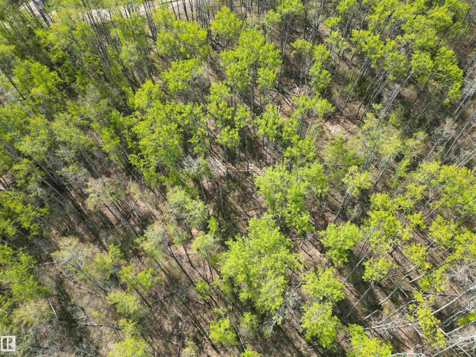 #9&10 59316 Rr54, Rural Barrhead County, Alberta  T7N 1N3 - Photo 11 - E4489599
