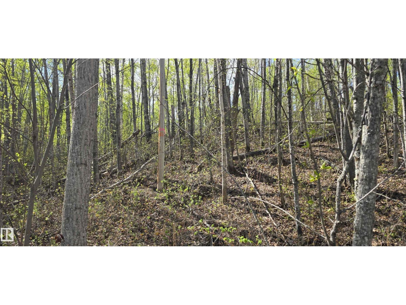 #9&10 59316 Rr54, Rural Barrhead County, Alberta  T7N 1N3 - Photo 27 - E4489599