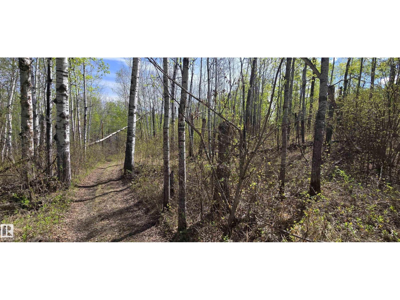#9&10 59316 Rr54, Rural Barrhead County, Alberta  T7N 1N3 - Photo 28 - E4489599