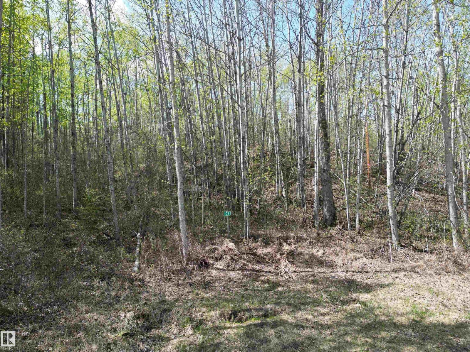 #9&10 59316 Rr54, Rural Barrhead County, Alberta  T7N 1N3 - Photo 3 - E4489599