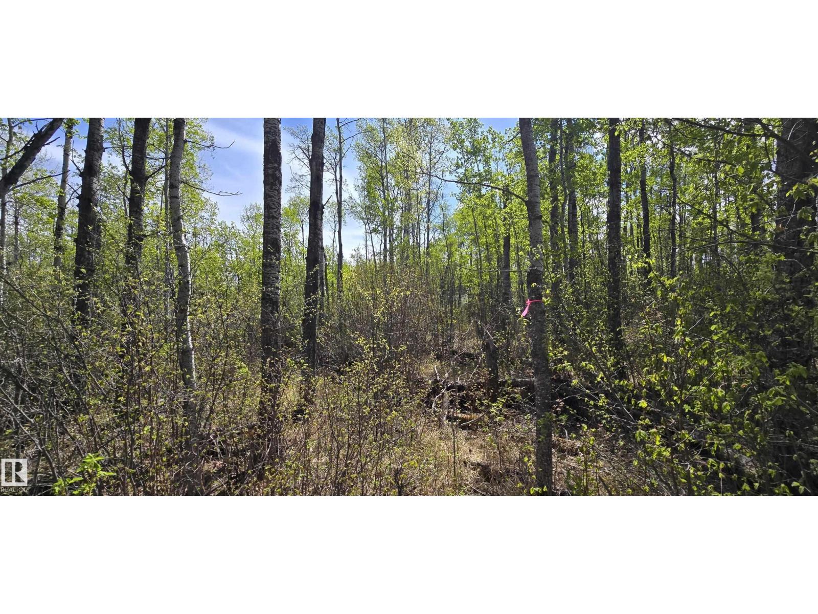 #9&10 59316 Rr54, Rural Barrhead County, Alberta  T7N 1N3 - Photo 30 - E4489599