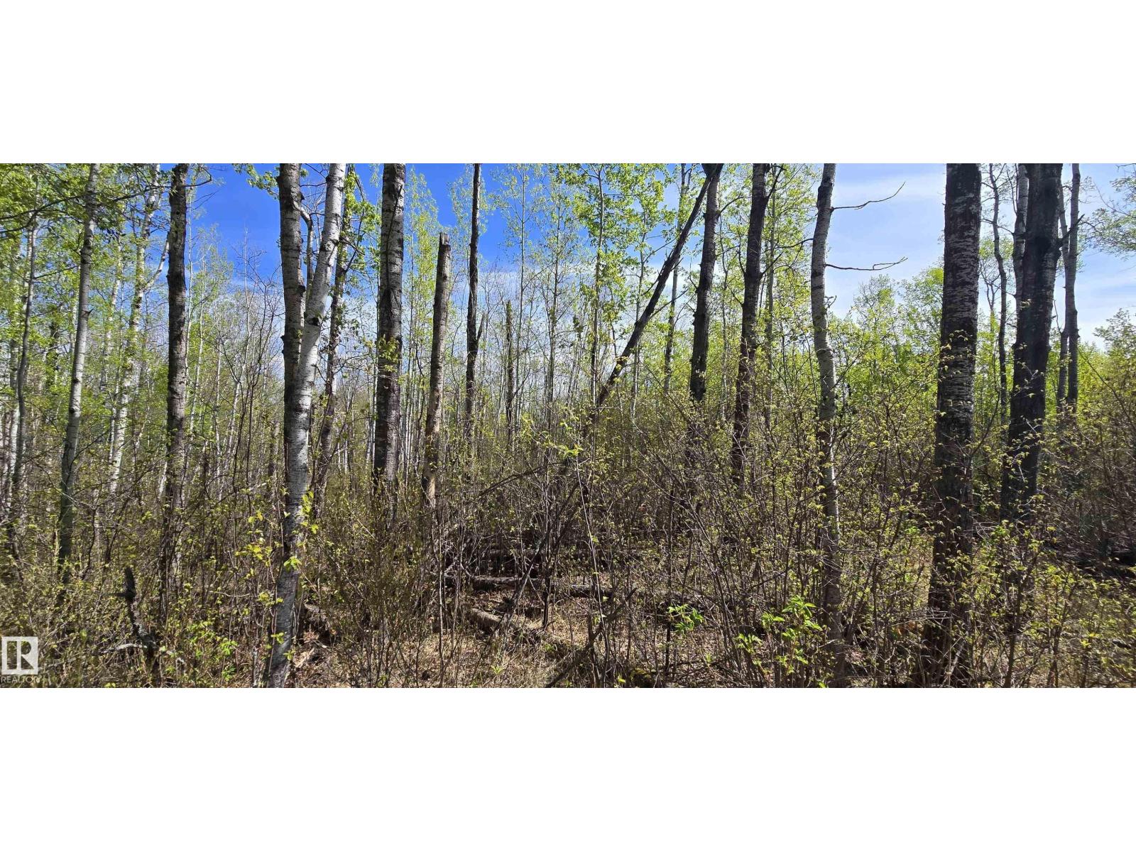 #9&10 59316 Rr54, Rural Barrhead County, Alberta  T7N 1N3 - Photo 31 - E4489599