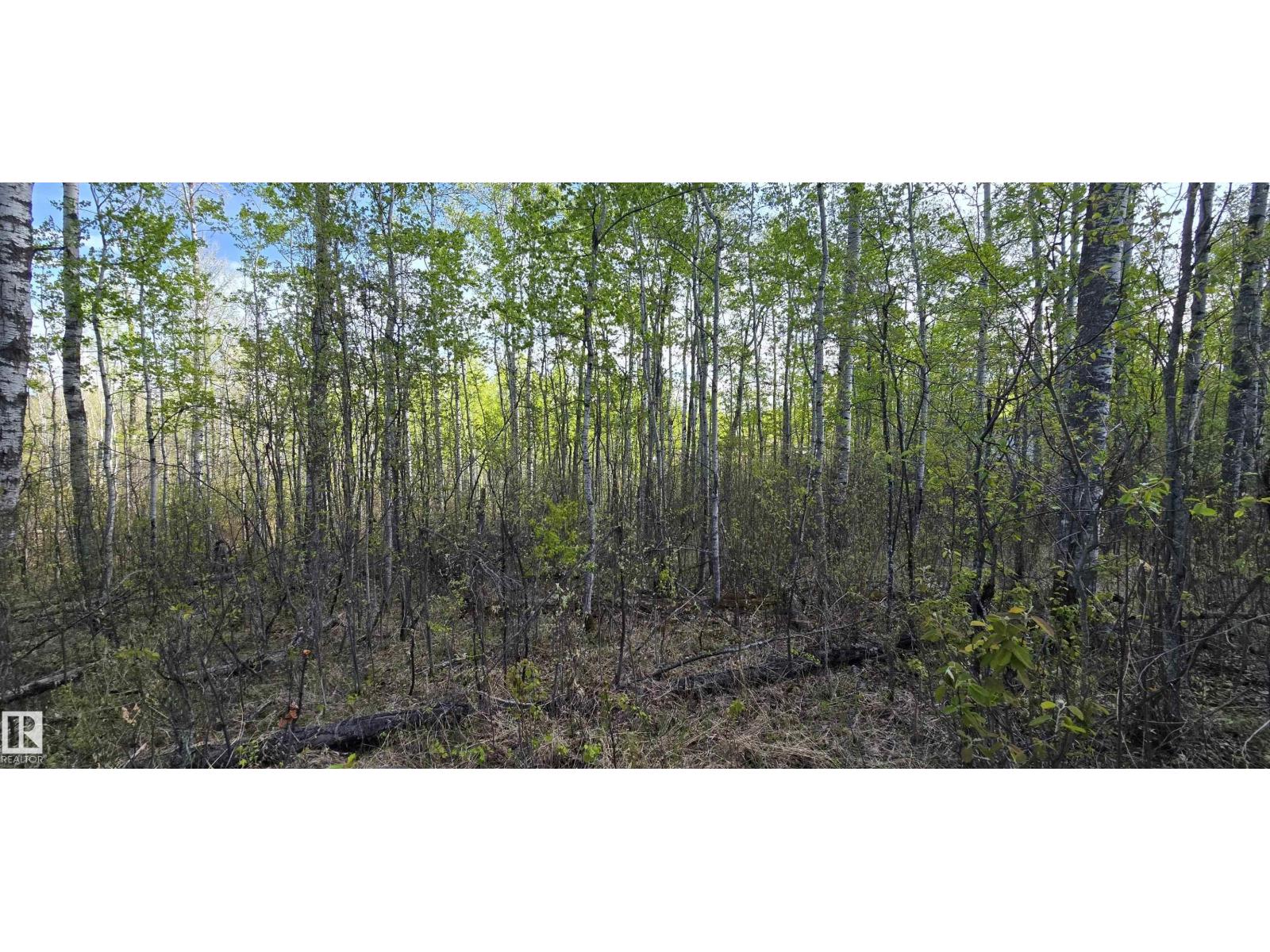 #9&10 59316 Rr54, Rural Barrhead County, Alberta  T7N 1N3 - Photo 33 - E4489599