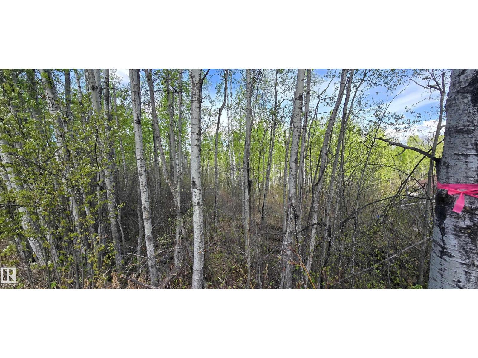 #9&10 59316 Rr54, Rural Barrhead County, Alberta  T7N 1N3 - Photo 35 - E4489599