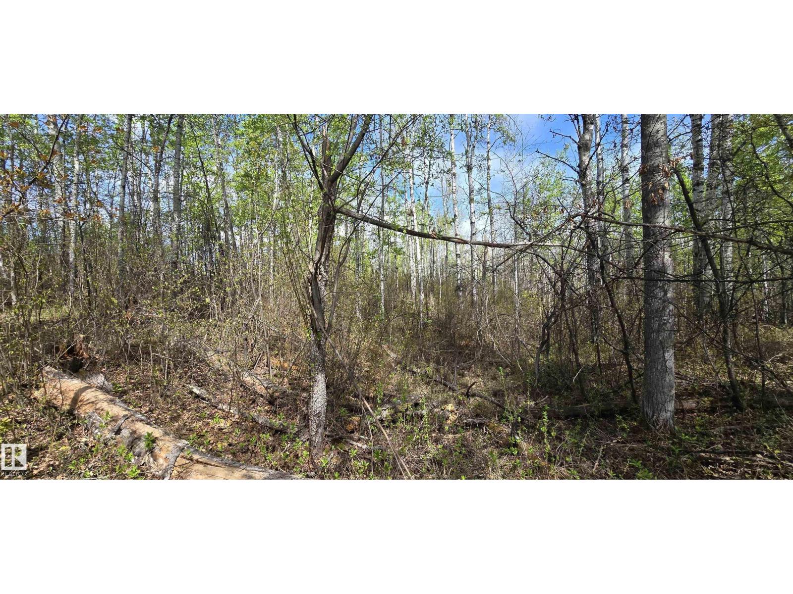#9&10 59316 Rr54, Rural Barrhead County, Alberta  T7N 1N3 - Photo 38 - E4489599