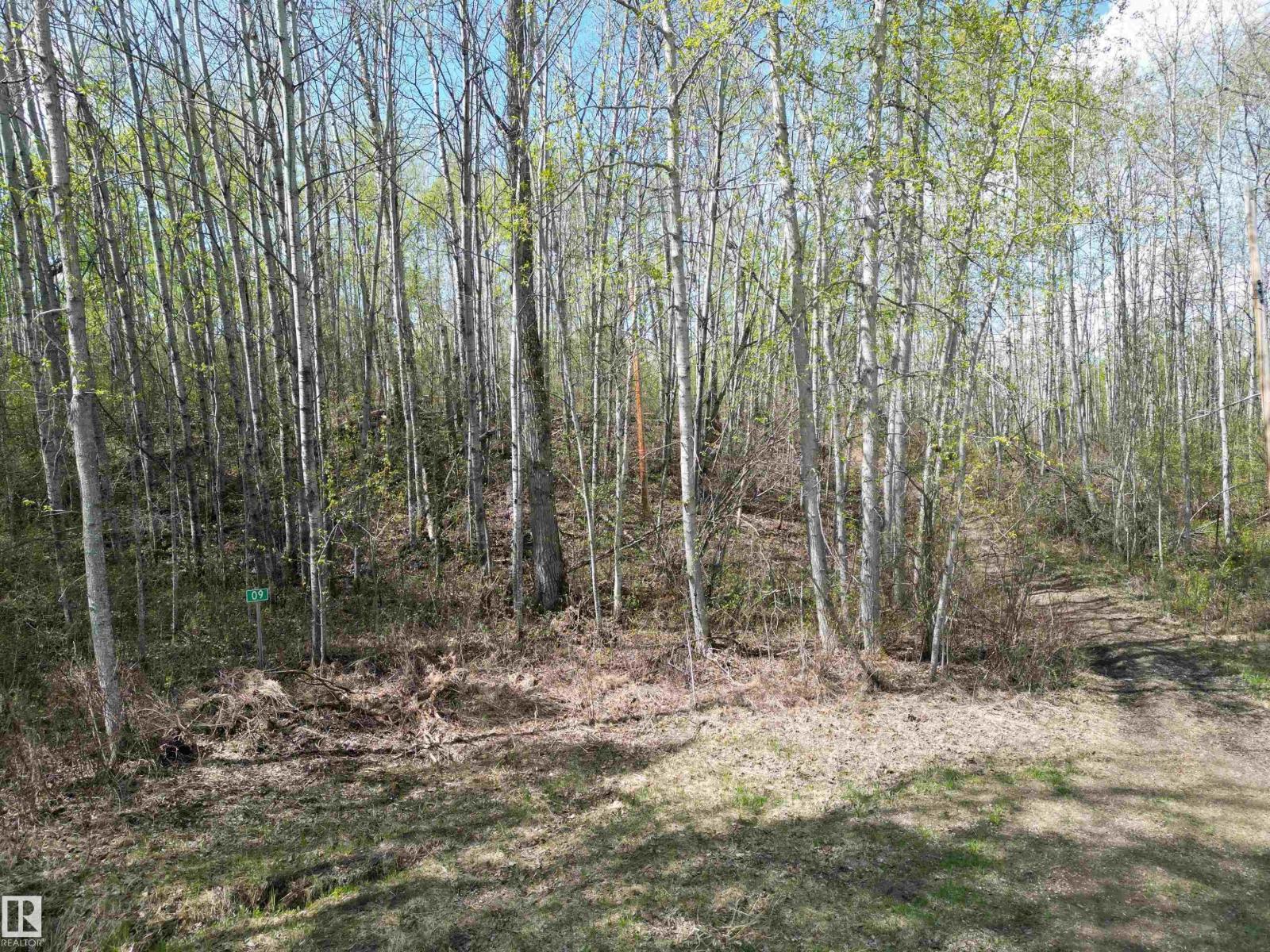 #9&10 59316 Rr54, Rural Barrhead County, Alberta  T7N 1N3 - Photo 4 - E4489599