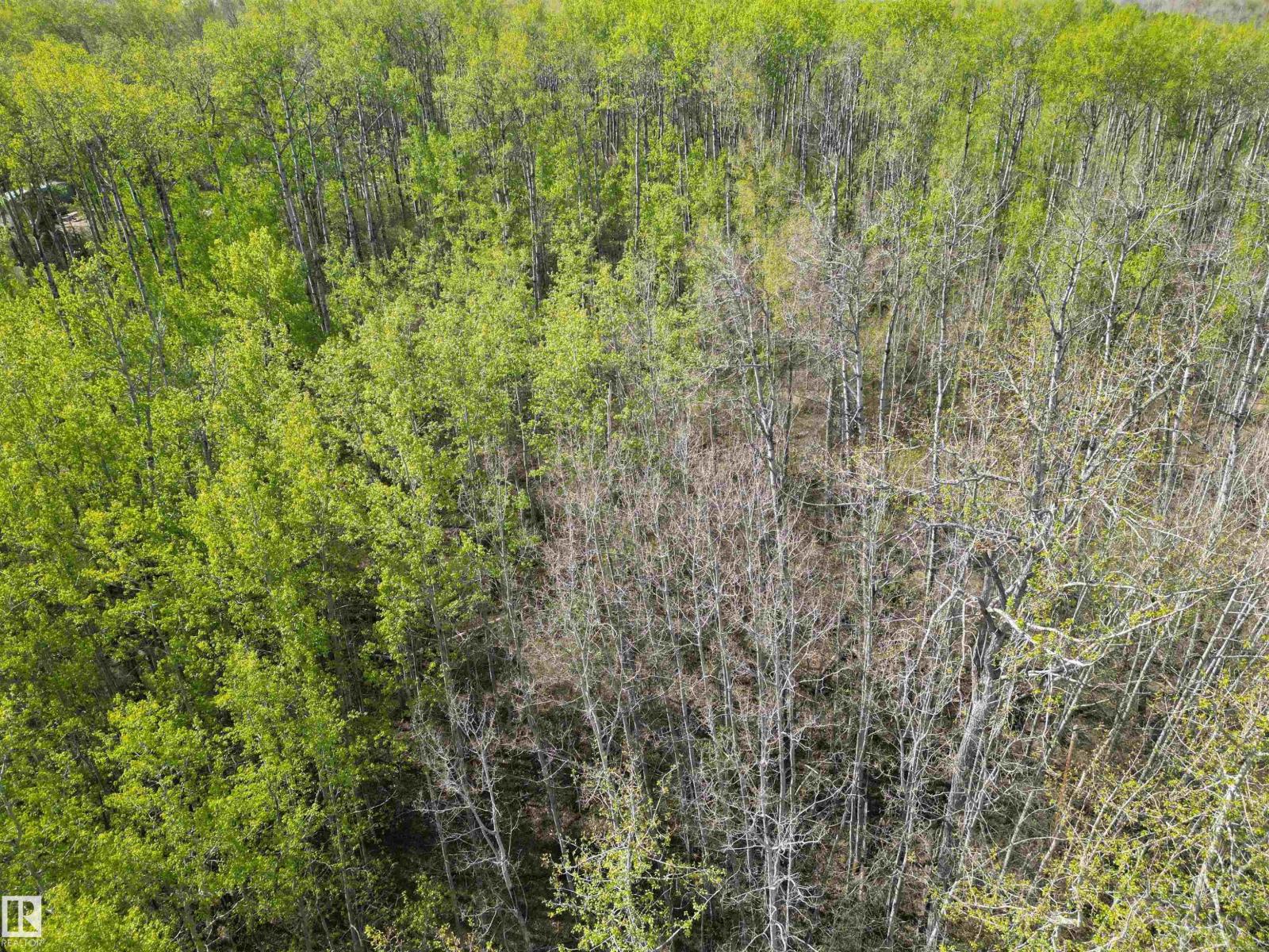#9&10 59316 Rr54, Rural Barrhead County, Alberta  T7N 1N3 - Photo 5 - E4489599
