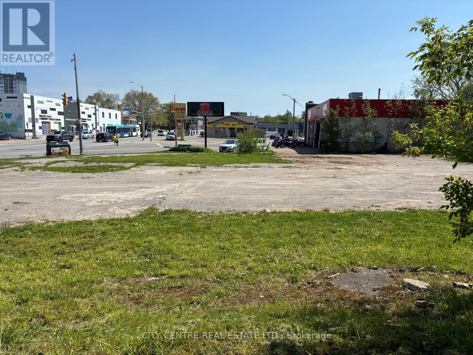 4737 Victoria Avenue, Niagara Falls, Ontario  L2E 2J2 - Photo 8 - X13165554