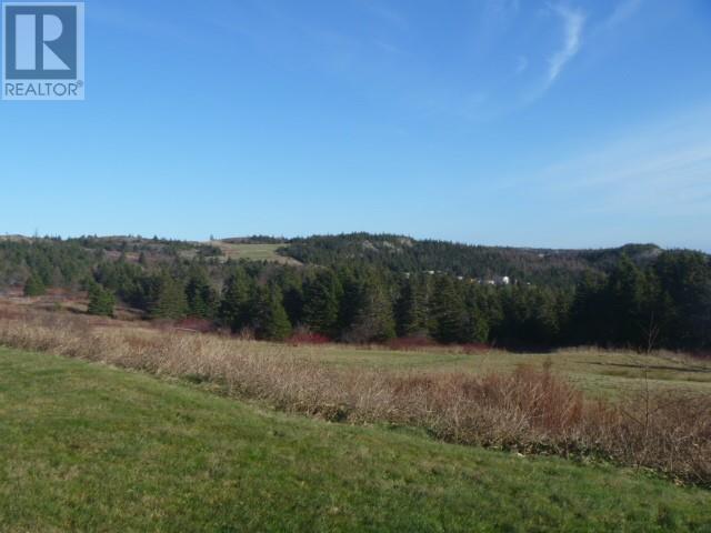 9-13 English Hill Extension, Carbonear, Newfoundland & Labrador  A1Y 1C2 - Photo 6 - 1297843