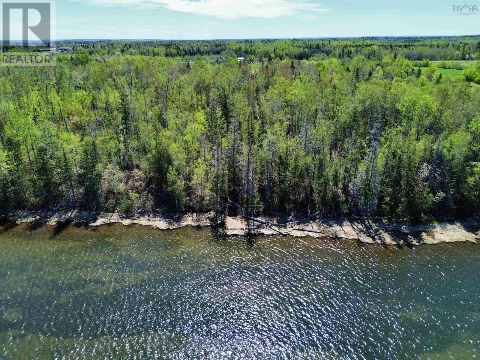 1507 Shinimicas Road, Northport, Nova Scotia  B0L 1E0 - Photo 9 - 202611763