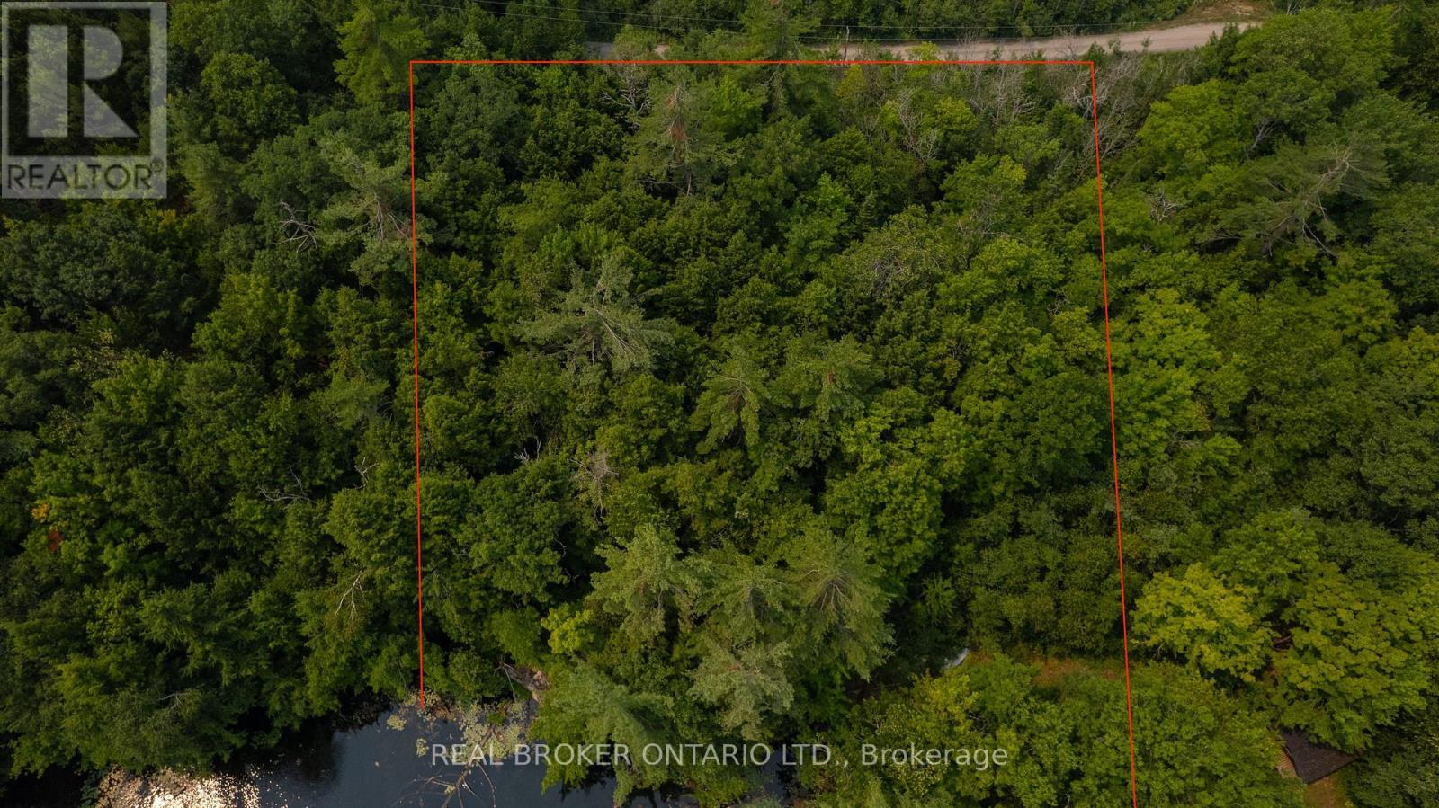 Lot 13 4 Wheel Drive, Gravenhurst, Ontario P0E 1G0 - Photo 5 - X13037180
