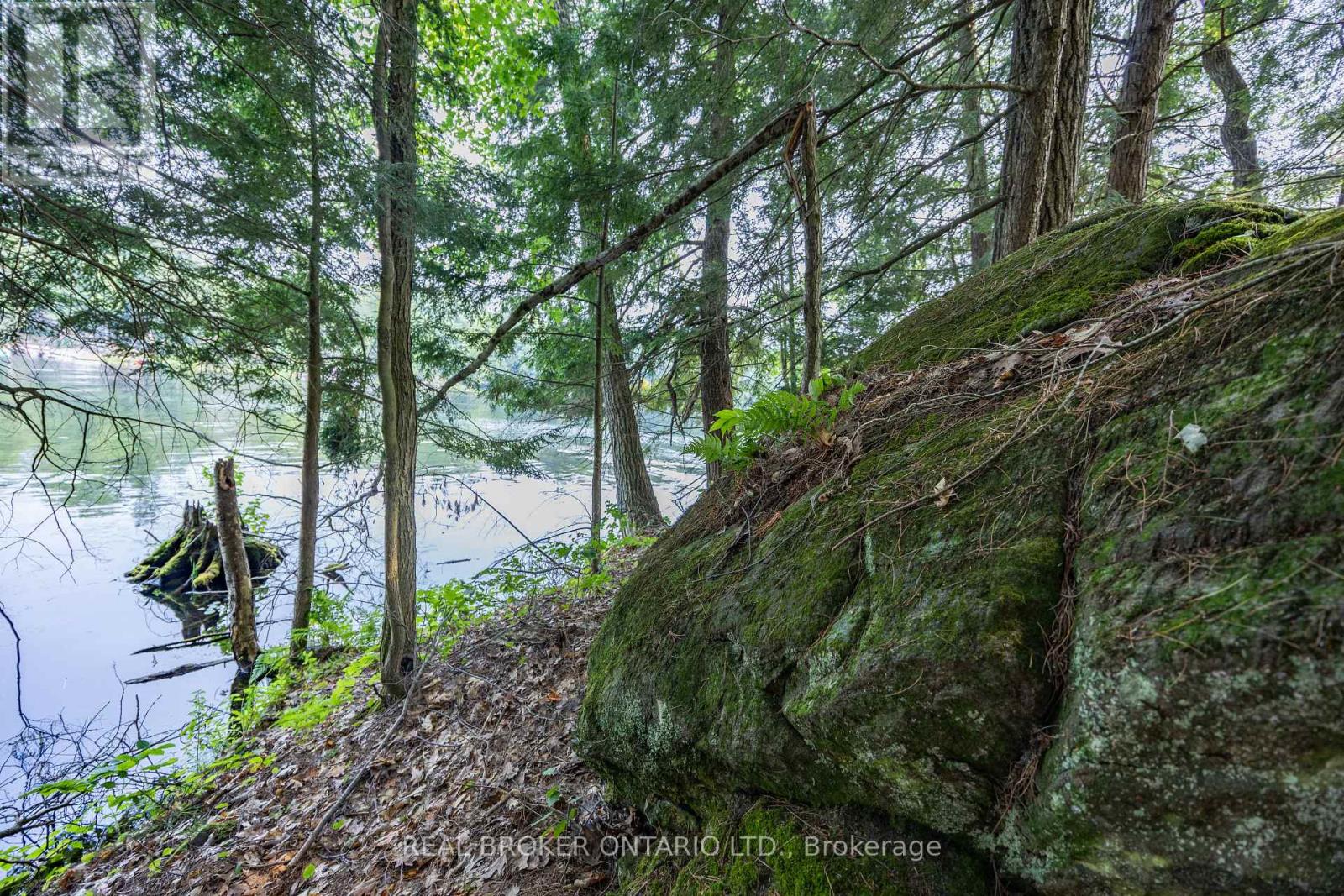 Lot 13 4 Wheel Drive, Gravenhurst, Ontario P0E 1G0 - Photo 6 - X13037180