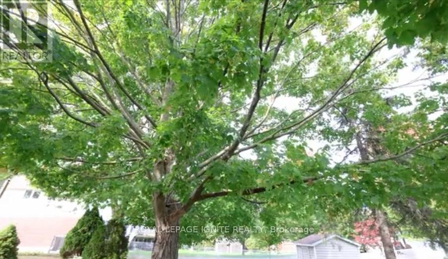 229 Liberty Street N, Clarington, Ontario  L1C 2M6 - Photo 22 - E13165746