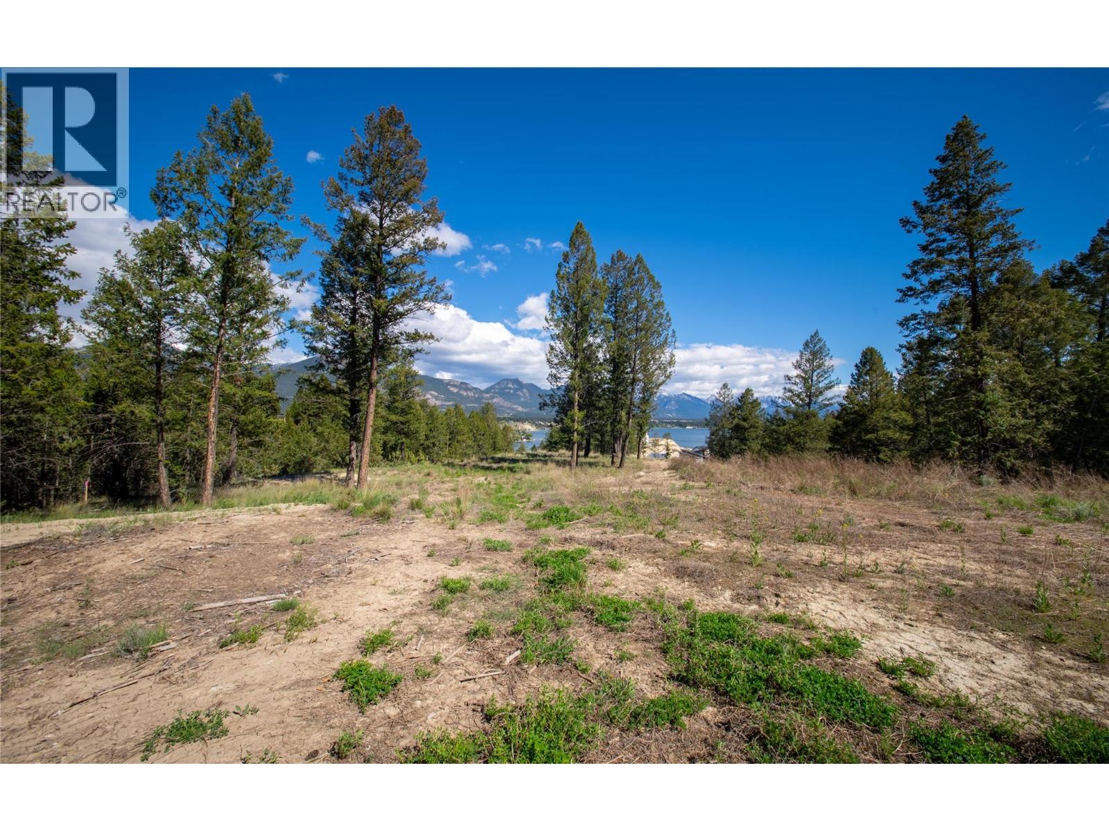 Lot 4 Kpokl Road, Invermere, British Columbia V0A 1K0 - Photo 7 - 10388575