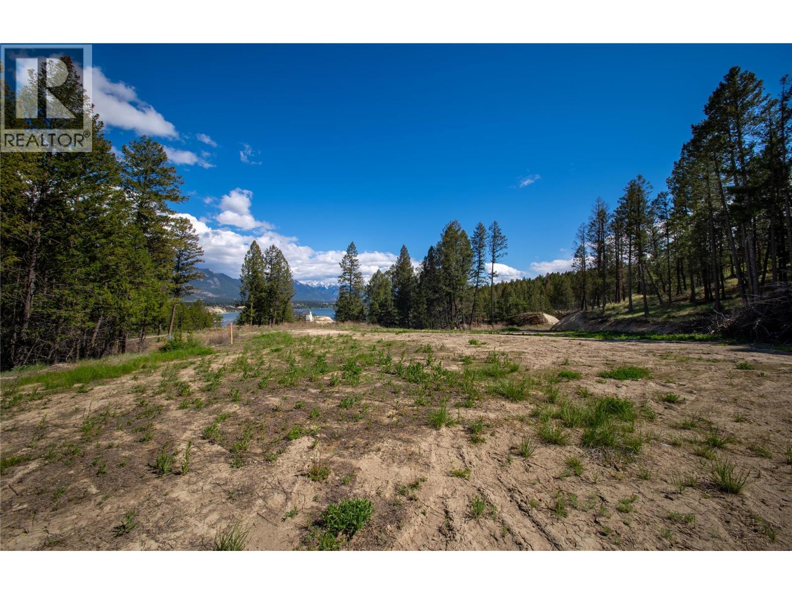 Lot 4 Kpokl Road, Invermere, British Columbia V0A 1K0 - Photo 6 - 10388575