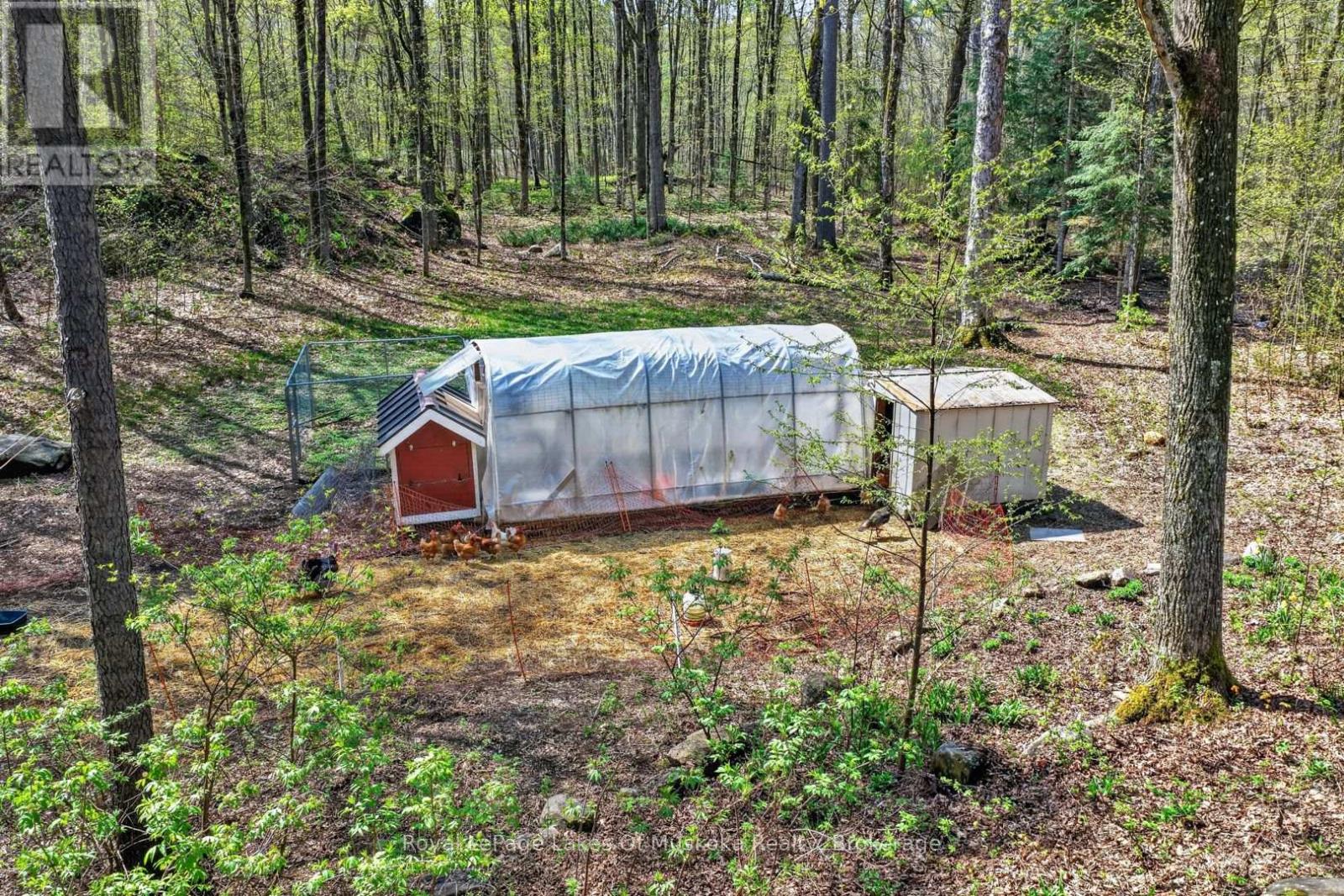 1034 Old 117 Highway, Lake Of Bays, Ontario  P0B 1A0 - Photo 30 - X13165954