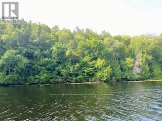 LOT 13-A LITTLE LONG, Parry Sound Remote Area, Ontario
