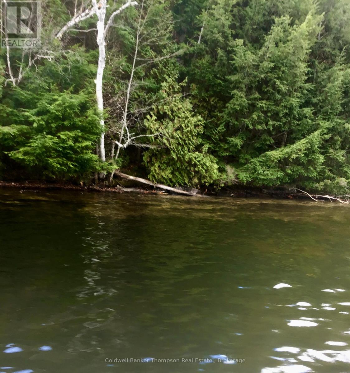 Lot 13-A Little Long, Parry Sound Remote Area, Ontario  P0H 1S0 - Photo 11 - X13166008