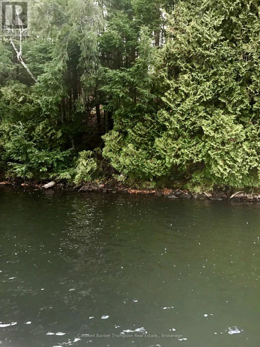 Lot 13-A Little Long, Parry Sound Remote Area, Ontario  P0H 1S0 - Photo 13 - X13166008