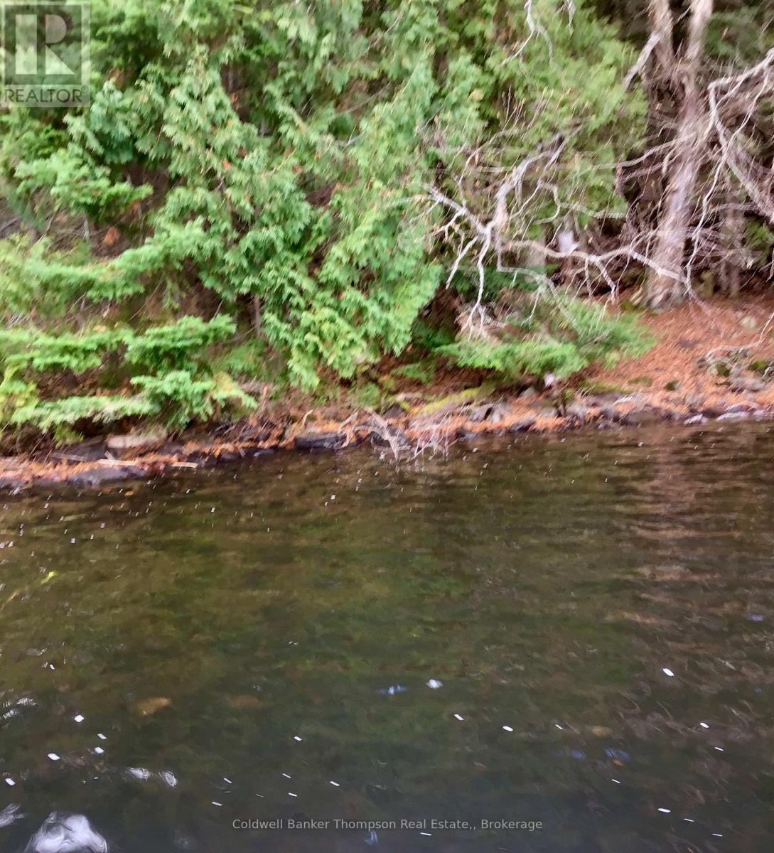 Lot 13-A Little Long, Parry Sound Remote Area, Ontario  P0H 1S0 - Photo 14 - X13166008