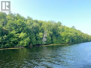 Lot 13-A Little Long, Parry Sound Remote Area, Ontario  P0H 1S0 - Photo 2 - X13166008