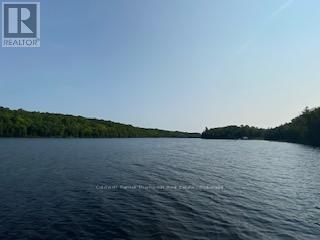 Lot 13-A Little Long, Parry Sound Remote Area, Ontario  P0H 1S0 - Photo 3 - X13166008