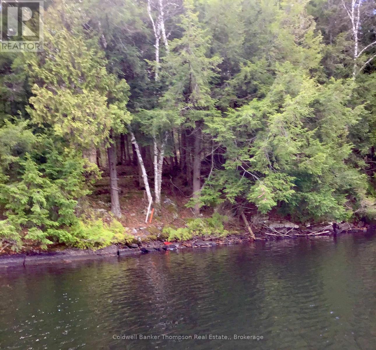 Lot 13-A Little Long, Parry Sound Remote Area, Ontario  P0H 1S0 - Photo 5 - X13166008
