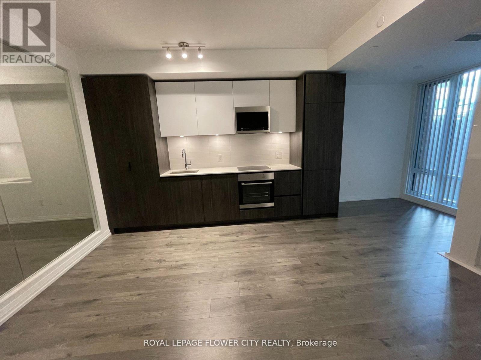 8 Widmer Street E, Toronto, Ontario  M5V 2E7 - Photo 9 - C13165934