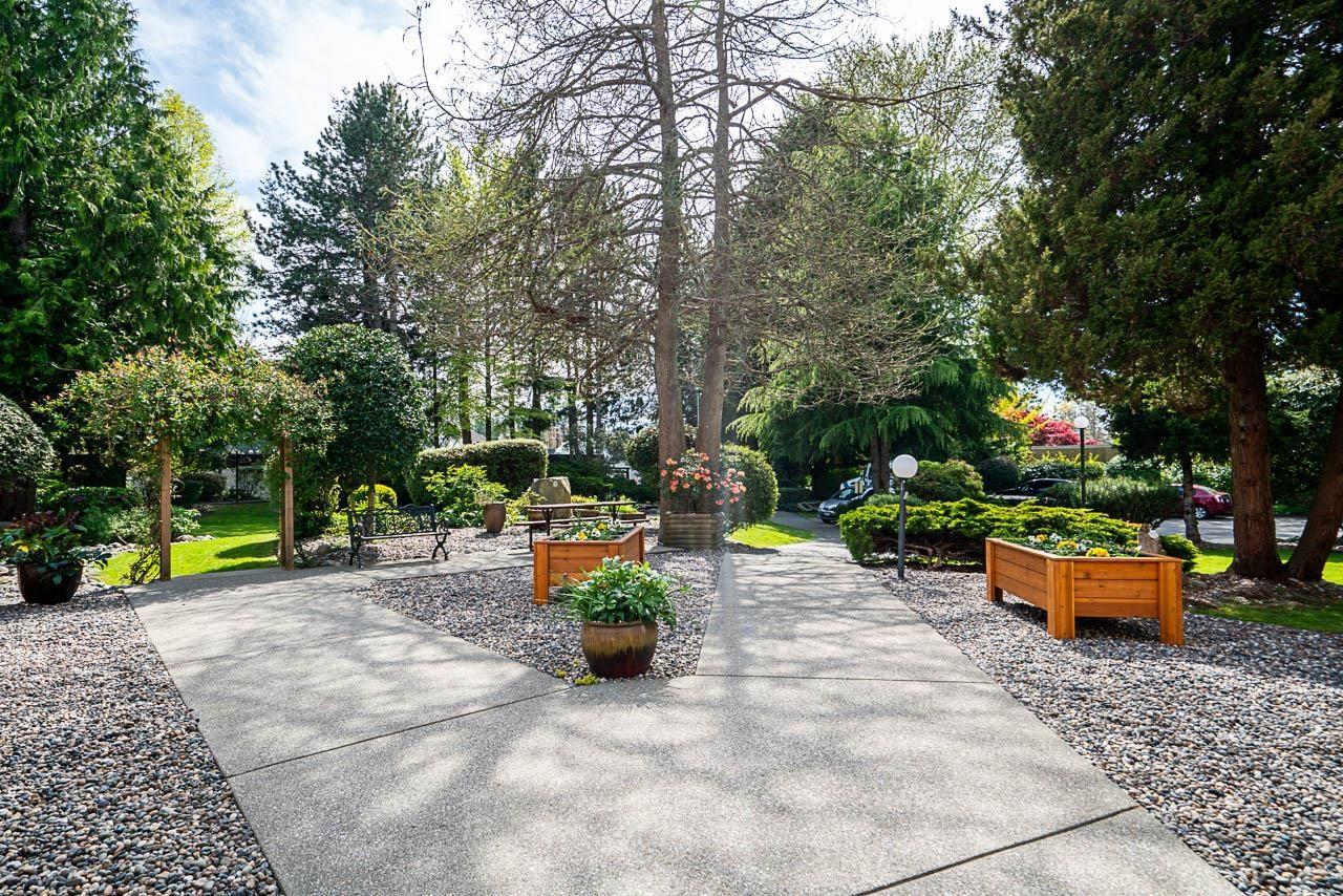 204 12890 17 Avenue, Surrey, British Columbia  V4A 1T5 - Photo 25 - R3111145