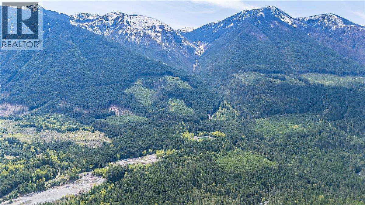 1732 Zwicky Road, Kaslo, British Columbia V0G 1M0 - Photo 3 - 10388002