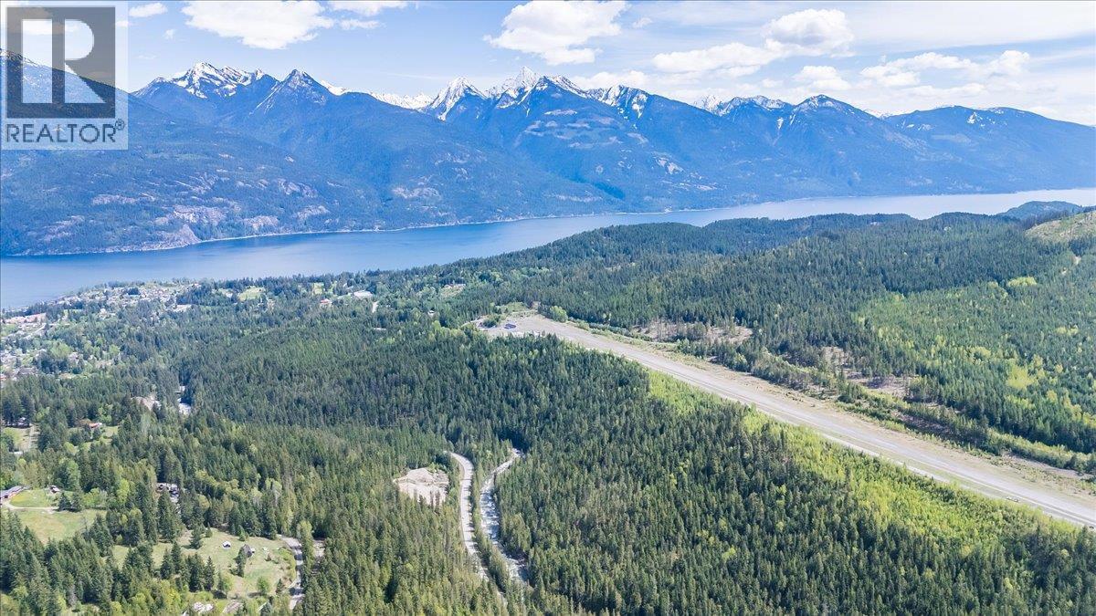 1732 Zwicky Road, Kaslo, British Columbia V0G 1M0 - Photo 4 - 10388002