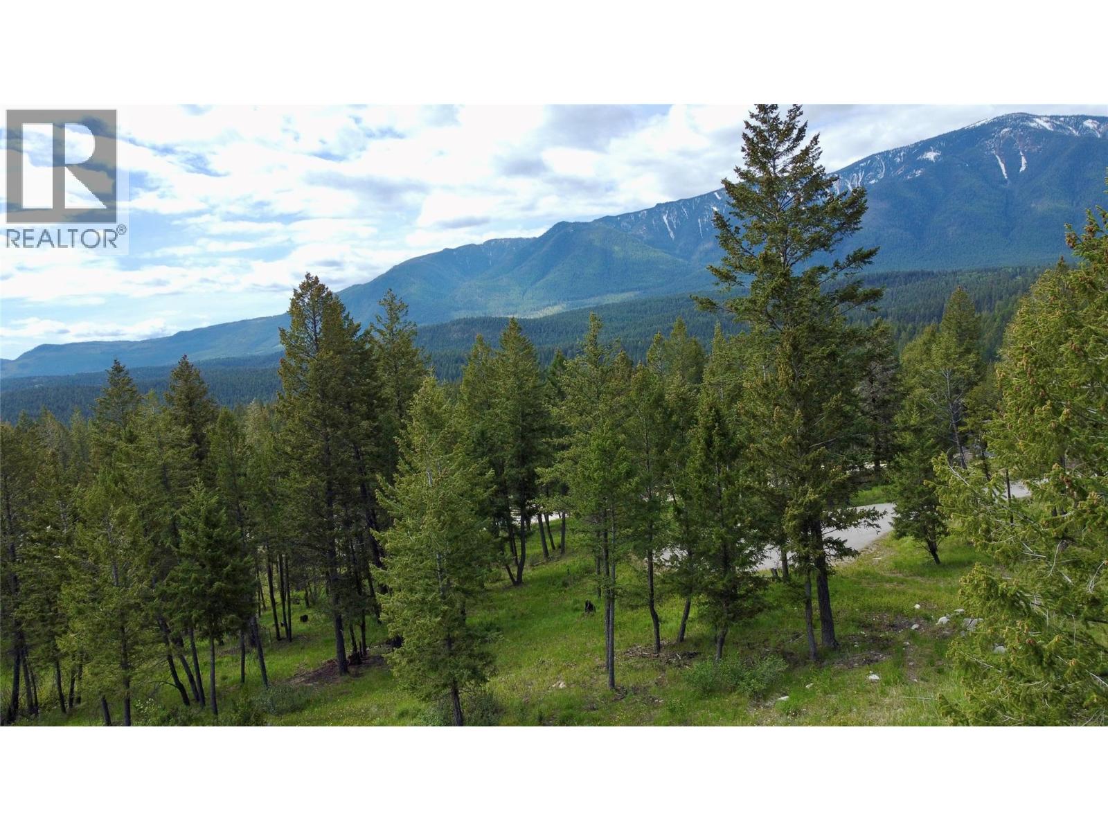2627 Taynton Trail, Invermere, British Columbia V0A 1K4 - Photo 16 - 10388505