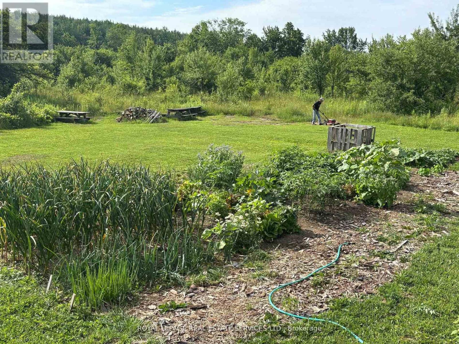 58111 12th Line, Meaford, Ontario  N4L 1W5 - Photo 24 - X13166122