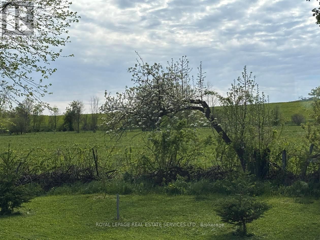 58111 12th Line, Meaford, Ontario  N4L 1W5 - Photo 25 - X13166122