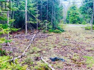 Lot 43 Warner Bay Road, Northern Bruce Peninsula, Ontario  N0H 2R0 - Photo 10 - X13166152