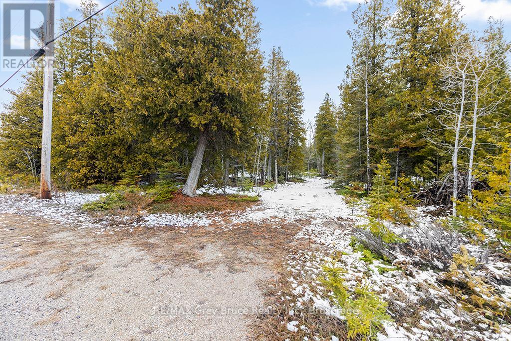 Lot 43 Warner Bay Road, Northern Bruce Peninsula, Ontario  N0H 2R0 - Photo 11 - X13166152