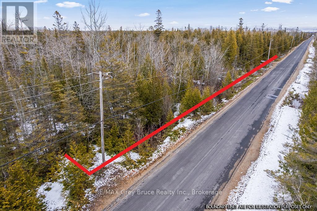 Lot 43 Warner Bay Road, Northern Bruce Peninsula, Ontario  N0H 2R0 - Photo 12 - X13166152