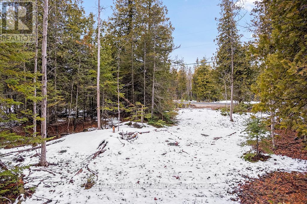 Lot 43 Warner Bay Road, Northern Bruce Peninsula, Ontario  N0H 2R0 - Photo 14 - X13166152