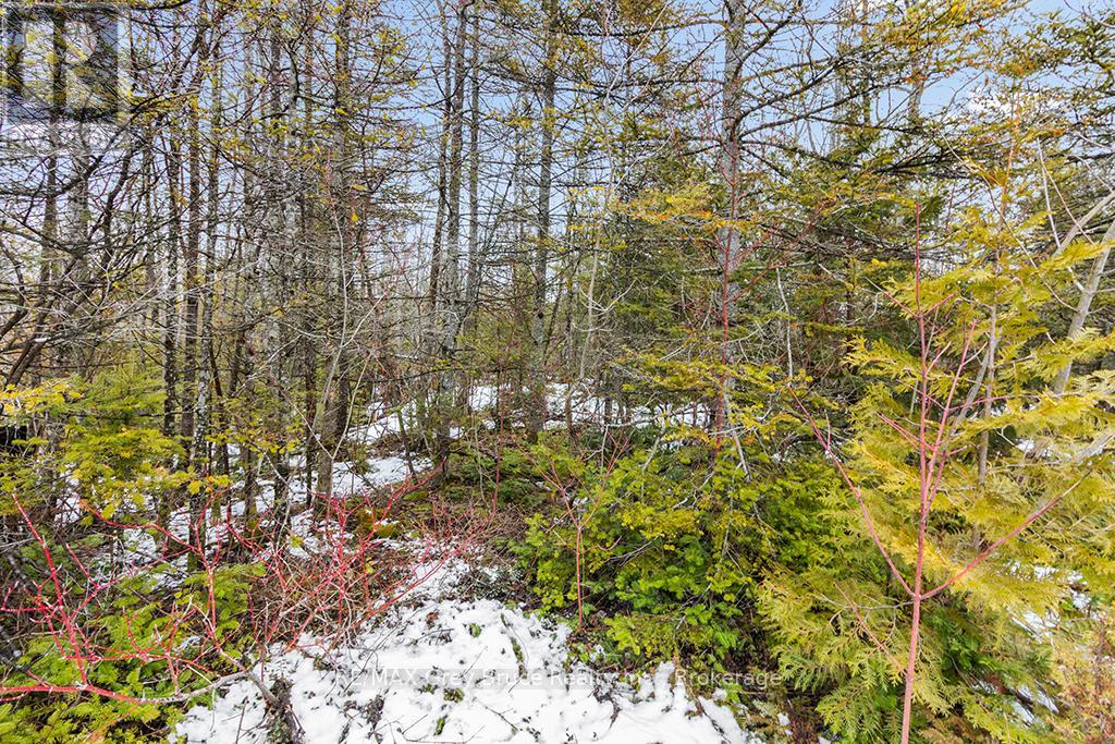 Lot 43 Warner Bay Road, Northern Bruce Peninsula, Ontario  N0H 2R0 - Photo 15 - X13166152