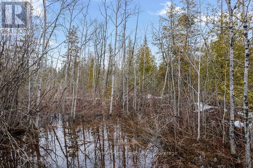 Lot 43 Warner Bay Road, Northern Bruce Peninsula, Ontario  N0H 2R0 - Photo 16 - X13166152