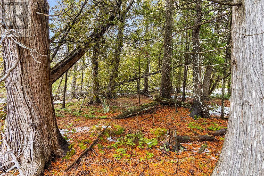 Lot 43 Warner Bay Road, Northern Bruce Peninsula, Ontario  N0H 2R0 - Photo 3 - X13166152