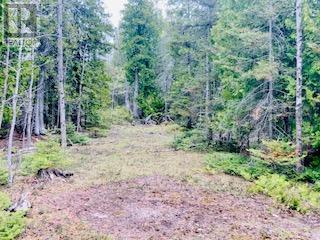 Lot 43 Warner Bay Road, Northern Bruce Peninsula, Ontario  N0H 2R0 - Photo 4 - X13166152