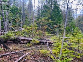 Lot 43 Warner Bay Road, Northern Bruce Peninsula, Ontario  N0H 2R0 - Photo 5 - X13166152