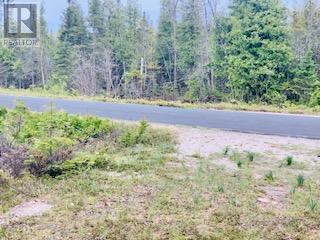 Lot 43 Warner Bay Road, Northern Bruce Peninsula, Ontario  N0H 2R0 - Photo 8 - X13166152