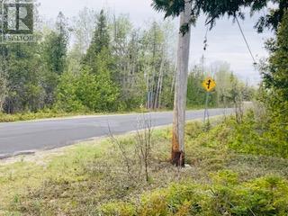 Lot 43 Warner Bay Road, Northern Bruce Peninsula, Ontario  N0H 2R0 - Photo 9 - X13166152