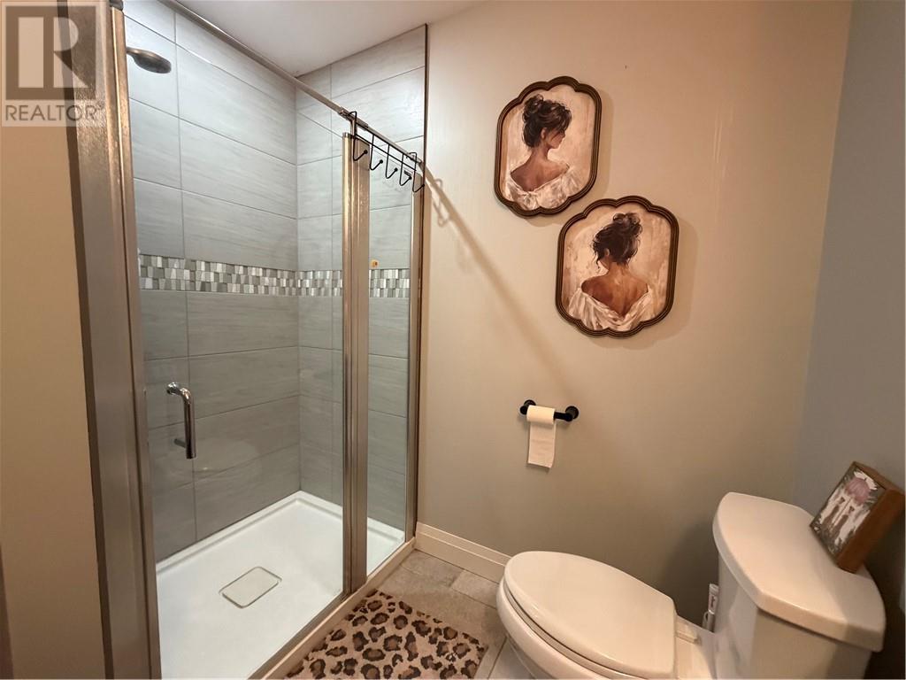 528 St Agnes Street, Azilda, Ontario  P0M 1B0 - Photo 38 - 2127920