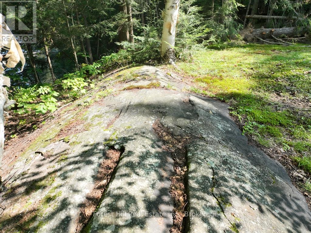 30945 Kawagama Lake Wao, Algonquin Highlands, Ontario P0A 1E0 - Photo 19 - X13166234